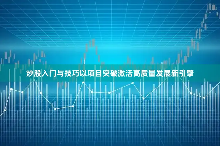 炒股入门与技巧以项目突破激活高质量发展新引擎