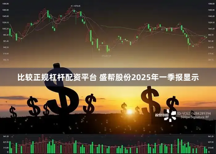 比较正规杠杆配资平台 盛帮股份2025年一季报显示