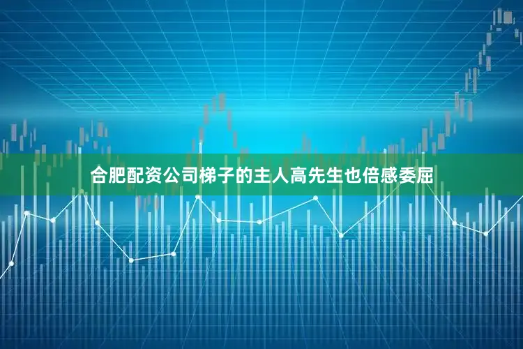 合肥配资公司梯子的主人高先生也倍感委屈