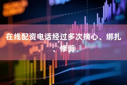在线配资电话经过多次摘心、绑扎、修剪